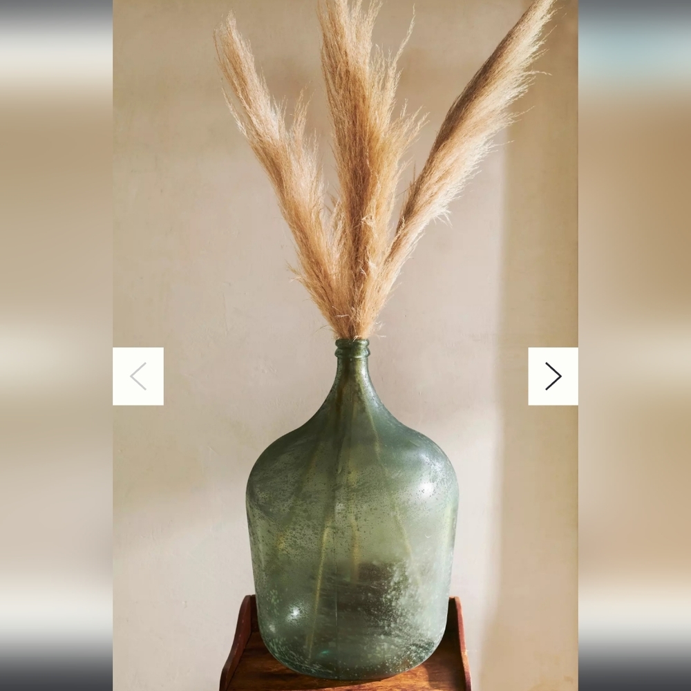 Fuax Pampas Grass Home Decor (NWOT)